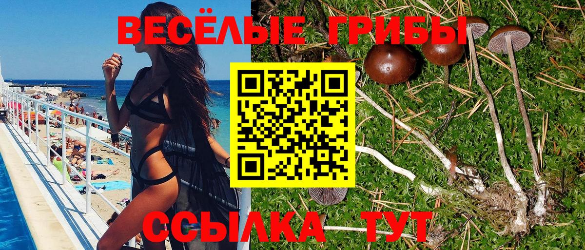 где найти   Вход с VPN  Алапаевск  Галлюциногенные грибы GOLDEN TEACHER 